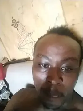 dicksonii
