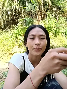 Hoa-tuylip