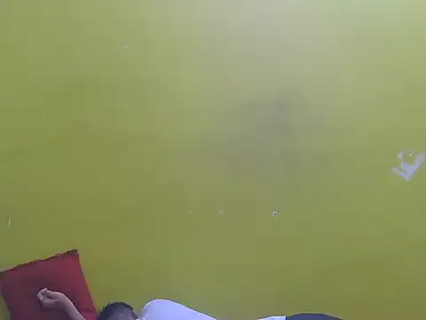 Stubborndesiboy