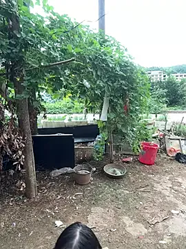 xiaoxiong0508